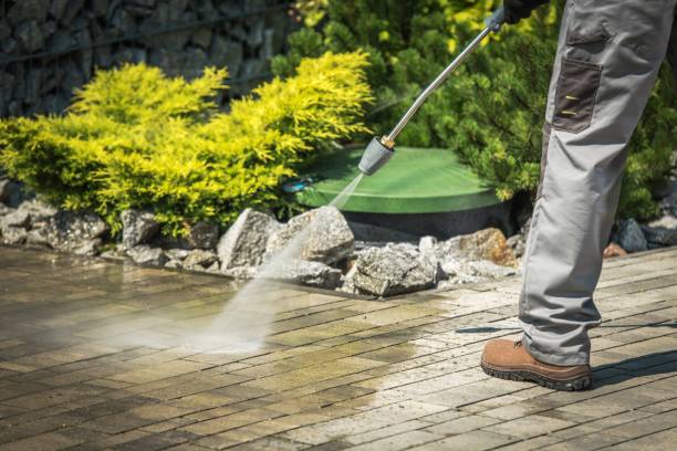 Best Driveway Pressure Washing  in Brazil, IN